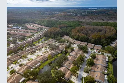 5530 Salem Square Drive N, Palm Harbor, FL 34685 - Photo 46
