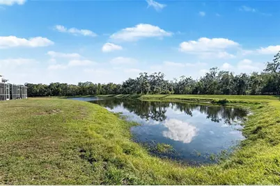 5860 Fishhawk Ridge Drive, Lithia, FL 33547 - Photo 28