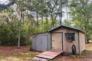 3351 Rackley Rd, Brooksville, FL 34604 - Photo 56