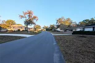 3 Graytwig Ct Ct W, Homosassa, FL 34446 - Photo 40