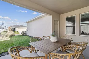 28748 Rambutan Dr, Wesley Chapel, FL 33543 - Photo 28