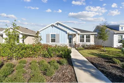 28748 Rambutan Drive, Wesley Chapel, FL 33543 - Photo 1