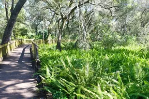 279 79th Ave N, Saint Petersburg, FL 33702 - Photo 34