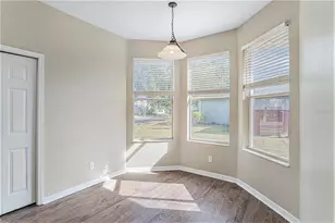 8602 Sandy Plains Dr, Riverview, FL 33578 - Photo 8