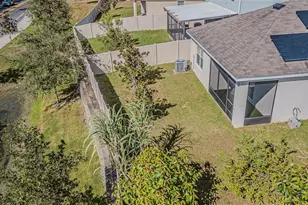 10853 Trailing Vine Dr, Tampa, FL 33610 - Photo 4