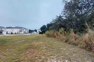 354 Feltrim Reserve Blvd, Davenport, FL 33837 - Photo 20