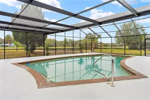 4269 River Birch Dr, Spring Hill, FL 34607 - Photo 20