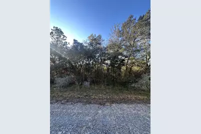 3908 W Tropic Lane, Dunnellon, FL 34433 - Photo 1