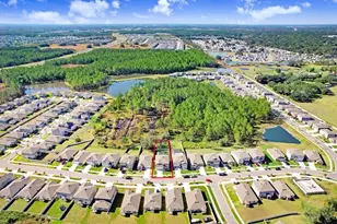 2401 Lanier Rd, Zephyrhills, FL 33541 - Photo 10