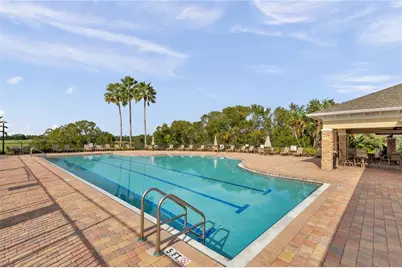 1031 Emerald Hill Way, Valrico, FL 33594 - Photo 60