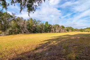24195 Landing Dr, Lutz, FL 33559 - Photo 26