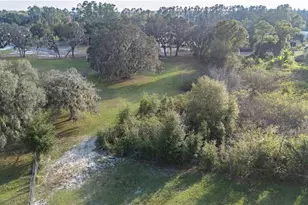 10413 Steven Dr, Polk City, FL 33868 - Photo 74