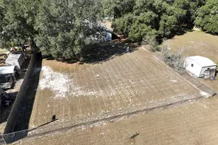 12005 Deerfoot Pl, Thonotosassa, FL 33592 - Photo 50