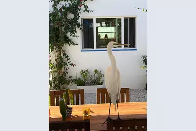 14032 N Bayshore Drive, Madeira Beach, FL 33708 - Photo 24