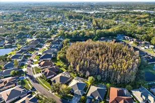 28701 Falling Leaves Way, Wesley Chapel, FL 33543 - Photo 48