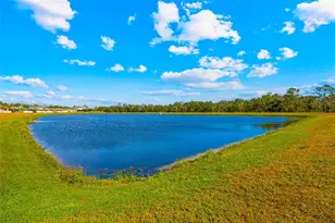 17136 White Mangrove Dr, Wimauma, FL 33598 - Photo 10