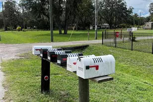 11117 McMullen Rd, Riverview, FL 33569 - Photo 4