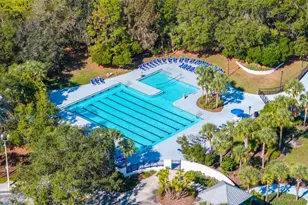 5950 Beaconpark St, Lithia, FL 33547 - Photo 56