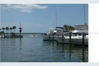 2833 Orange Tree Circle N #C, Palm Harbor, FL 34684 - Photo 32