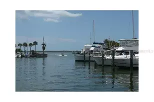 2833 Orange Tree Cir N, Palm Harbor, FL 34684 - Photo 32