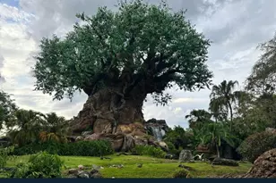 8201 US Hwy 98 N, Lakeland, FL 33809 - Photo 18