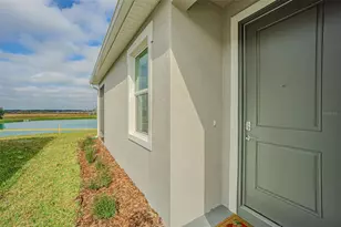 31415 Paper Birch St, Wesley Chapel, FL 33545 - Photo 28