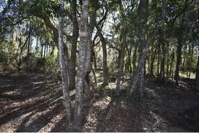 13230 NE 9th Street, Williston, FL 32696 - Photo 62