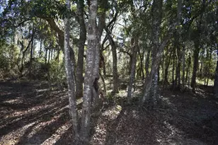 13230 NE 9th St, Williston, FL 32696 - Photo 62