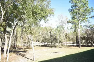 13230 NE 9th St, Williston, FL 32696 - Photo 50