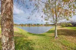 336 Silver Falls Dr, Apollo Beach, FL 33572 - Photo 28