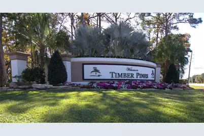 2113 Springmeadow Drive, Spring Hill, FL 34606 - Photo 46