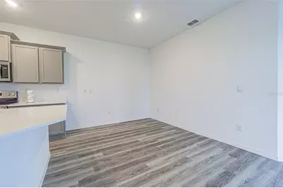 31423 Paper Birch Street, Wesley Chapel, FL 33545 - Photo 18