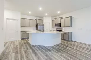 31423 Paper Birch St, Wesley Chapel, FL 33545 - Photo 4