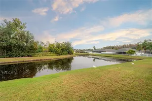 31203 Hannigan Pl, Wesley Chapel, FL 33543 - Photo 42