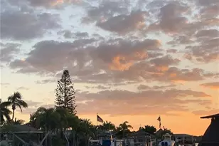 8780 43rd Ave N, Saint Petersburg, FL 33709 - Photo 4