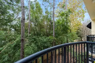 5246 Hampton Beach Pl, Tampa, FL 33609 - Photo 2