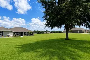 37136 Hidden View, Dade City, FL 33523 - Photo 4
