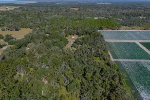 415 Hal Colding Rd, Lithia, FL 33547 - Photo 16