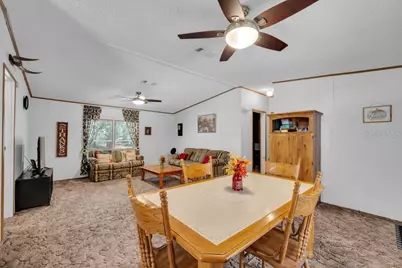 415 Hal Colding Road, Lithia, FL 33547 - Photo 60