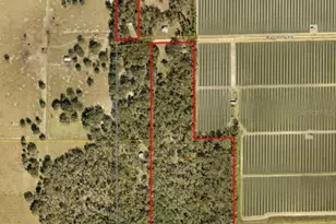 415 Hal Colding Rd, Lithia, FL 33547 - Photo 1