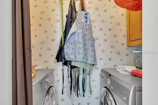 415 Hal Colding Rd, Lithia, FL 33547 - Photo 66