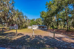 415 Hal Colding Rd, Lithia, FL 33547 - Photo 50