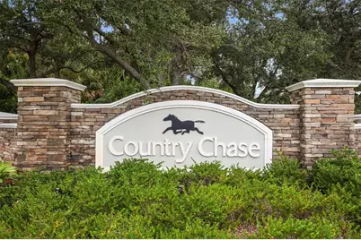 8524 Tidal Bay Lane, Tampa, FL 33635 - Photo 68