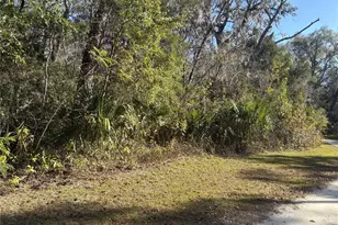 399 S Dew Plant Point, Crystal River, FL 34429 - Photo 1