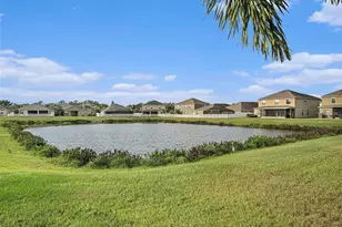 2411 Birds Eye Ct, Ruskin, FL 33570 - Photo 26