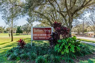 2713 Crestfield Dr, Valrico, FL 33596 - Photo 92