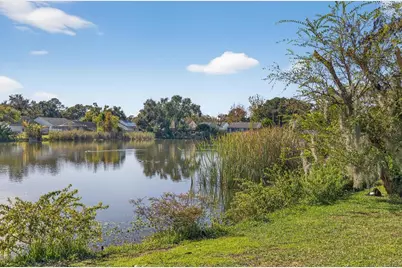 7819 Chaperon Court, Tampa, FL 33637 - Photo 6