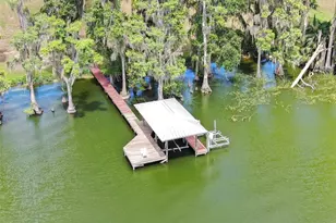 11921 Fort King Hwy, Thonotosassa, FL 33592 - Photo 48