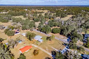 18832 Dorman Rd, Lithia, FL 33547 - Photo 44