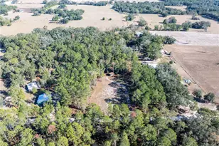 11727 162nd Terrace, Mc Alpin, FL 32062 - Photo 26